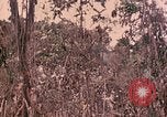 Standbild 1 Tank Bataillon Peleliu Palau Inseln, 1944, aus Sekunde 54 historischem Filmmaterial Videoclip 65675022909