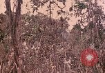 Standbild 1 Tank Bataillon Peleliu Palau Inseln, 1944, aus Sekunde 55 historischem Filmmaterial Videoclip 65675022909