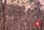 Standbild 1 Tank Bataillon Peleliu Palau Inseln, 1944, aus Sekunde 56 historischem Filmmaterial Videoclip 65675022909