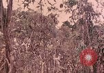 Standbild 1 Tank Bataillon Peleliu Palau Inseln, 1944, aus Sekunde 57 historischem Filmmaterial Videoclip 65675022909
