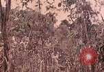 Standbild 1 Tank Bataillon Peleliu Palau Inseln, 1944, aus Sekunde 58 historischem Filmmaterial Videoclip 65675022909