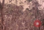 Standbild 1 Tank Bataillon Peleliu Palau Inseln, 1944, aus Sekunde 59 historischem Filmmaterial Videoclip 65675022909
