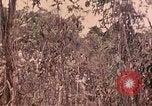 Standbild 1 Tank Bataillon Peleliu Palau Inseln, 1944, aus Sekunde 60 historischem Filmmaterial Videoclip 65675022909
