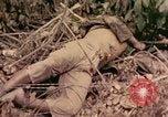Standbild 1 Tank Bataillon Befehl Post Peleliu Palau Inseln, 1944, aus Sekunde 1 historischem Filmmaterial Videoclip 65675022910