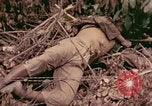 Standbild 1 Tank Bataillon Befehl Post Peleliu Palau Inseln, 1944, aus Sekunde 3 historischem Filmmaterial Videoclip 65675022910