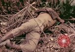 Standbild 1 Tank Bataillon Befehl Post Peleliu Palau Inseln, 1944, aus Sekunde 5 historischem Filmmaterial Videoclip 65675022910