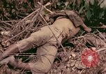 Standbild 1 Tank Bataillon Befehl Post Peleliu Palau Inseln, 1944, aus Sekunde 6 historischem Filmmaterial Videoclip 65675022910
