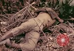 Standbild 1 Tank Bataillon Befehl Post Peleliu Palau Inseln, 1944, aus Sekunde 7 historischem Filmmaterial Videoclip 65675022910