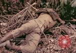 Standbild 1 Tank Bataillon Befehl Post Peleliu Palau Inseln, 1944, aus Sekunde 9 historischem Filmmaterial Videoclip 65675022910