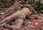 Standbild 1 Tank Bataillon Befehl Post Peleliu Palau Inseln, 1944, aus Sekunde 10 historischem Filmmaterial Videoclip 65675022910