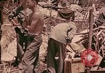 Standbild 1 Tank Bataillon Befehl Post Peleliu Palau Inseln, 1944, aus Sekunde 16 historischem Filmmaterial Videoclip 65675022910