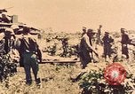 Image of 1st Tank Battalion Peleliu Palau Islands, 1944, second 1 stock footage video 65675022912