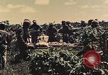 Image of 1st Tank Battalion Peleliu Palau Islands, 1944, second 3 stock footage video 65675022912