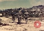 Image of 1st Tank Battalion Peleliu Palau Islands, 1944, second 8 stock footage video 65675022912