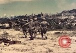 Image of 1st Tank Battalion Peleliu Palau Islands, 1944, second 9 stock footage video 65675022912
