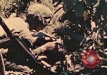 Image of 1st Tank Battalion Peleliu Palau Islands, 1944, second 38 stock footage video 65675022912