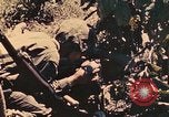 Image of 1st Tank Battalion Peleliu Palau Islands, 1944, second 39 stock footage video 65675022912
