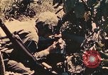 Image of 1st Tank Battalion Peleliu Palau Islands, 1944, second 40 stock footage video 65675022912