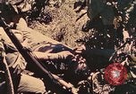Image of 1st Tank Battalion Peleliu Palau Islands, 1944, second 43 stock footage video 65675022912