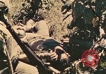 Image of 1st Tank Battalion Peleliu Palau Islands, 1944, second 46 stock footage video 65675022912