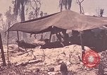 Image of 11th Marine Division Peleliu Palau Islands, 1944, second 29 stock footage video 65675022915