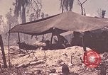 Image of 11th Marine Division Peleliu Palau Islands, 1944, second 30 stock footage video 65675022915