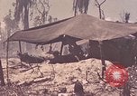 Image of 11th Marine Division Peleliu Palau Islands, 1944, second 32 stock footage video 65675022915