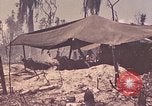 Image of 11th Marine Division Peleliu Palau Islands, 1944, second 34 stock footage video 65675022915