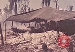 Image of 11th Marine Division Peleliu Palau Islands, 1944, second 36 stock footage video 65675022915