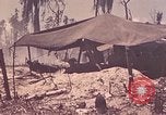 Image of 11th Marine Division Peleliu Palau Islands, 1944, second 37 stock footage video 65675022915