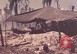 Image of 11th Marine Division Peleliu Palau Islands, 1944, second 38 stock footage video 65675022915