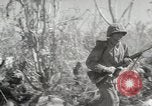 Image of 11th Marine Division Peleliu Palau Islands, 1944, second 4 stock footage video 65675022917