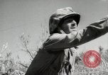 Image of 11th Marine Division Peleliu Palau Islands, 1944, second 7 stock footage video 65675022917