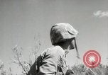 Image of 11th Marine Division Peleliu Palau Islands, 1944, second 11 stock footage video 65675022917