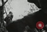Image of 11th Marine Division Peleliu Palau Islands, 1944, second 25 stock footage video 65675022917