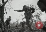 Image of 11th Marine Division Peleliu Palau Islands, 1944, second 28 stock footage video 65675022917
