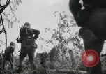 Image of 11th Marine Division Peleliu Palau Islands, 1944, second 29 stock footage video 65675022917