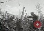 Image of 11th Marine Division Peleliu Palau Islands, 1944, second 30 stock footage video 65675022917