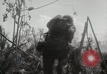 Image of 11th Marine Division Peleliu Palau Islands, 1944, second 33 stock footage video 65675022917