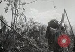 Image of 11th Marine Division Peleliu Palau Islands, 1944, second 34 stock footage video 65675022917
