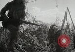 Image of 11th Marine Division Peleliu Palau Islands, 1944, second 35 stock footage video 65675022917