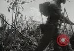 Image of 11th Marine Division Peleliu Palau Islands, 1944, second 36 stock footage video 65675022917