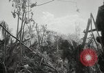 Image of 11th Marine Division Peleliu Palau Islands, 1944, second 37 stock footage video 65675022917