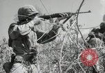 Image of 11th Marine Division Peleliu Palau Islands, 1944, second 39 stock footage video 65675022917