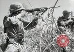 Image of 11th Marine Division Peleliu Palau Islands, 1944, second 41 stock footage video 65675022917