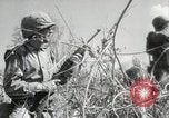 Image of 11th Marine Division Peleliu Palau Islands, 1944, second 42 stock footage video 65675022917