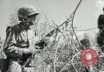 Image of 11th Marine Division Peleliu Palau Islands, 1944, second 43 stock footage video 65675022917