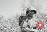 Image of 11th Marine Division Peleliu Palau Islands, 1944, second 45 stock footage video 65675022917