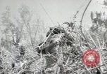 Image of 11th Marine Division Peleliu Palau Islands, 1944, second 47 stock footage video 65675022917