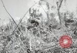 Image of 11th Marine Division Peleliu Palau Islands, 1944, second 49 stock footage video 65675022917